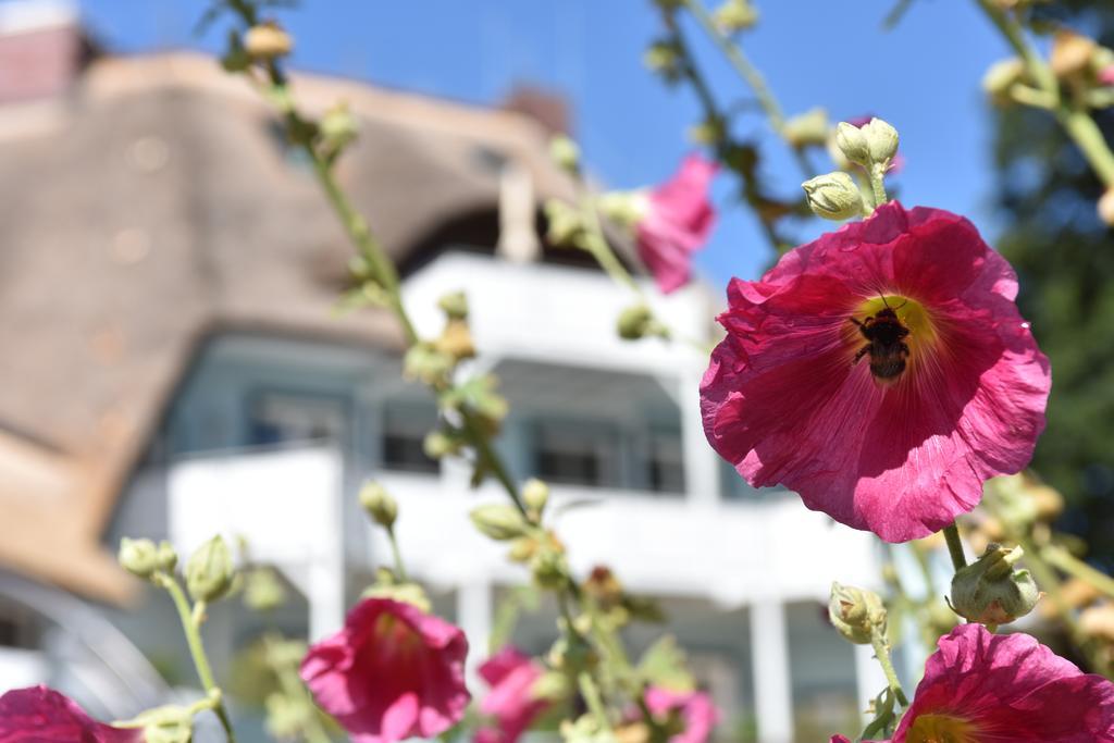 ארנסהופ Romantik Hotel Fischerwiege מראה חיצוני תמונה